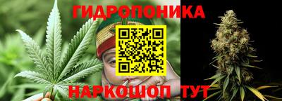 крисы Гай