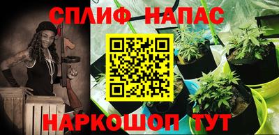 крисы Гай